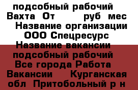 подсобный рабочий . Вахта. От 30 000 руб./мес. › Название организации ­ ООО Спецресурс › Название вакансии ­ подсобный рабочий - Все города Работа » Вакансии   . Курганская обл.,Притобольный р-н